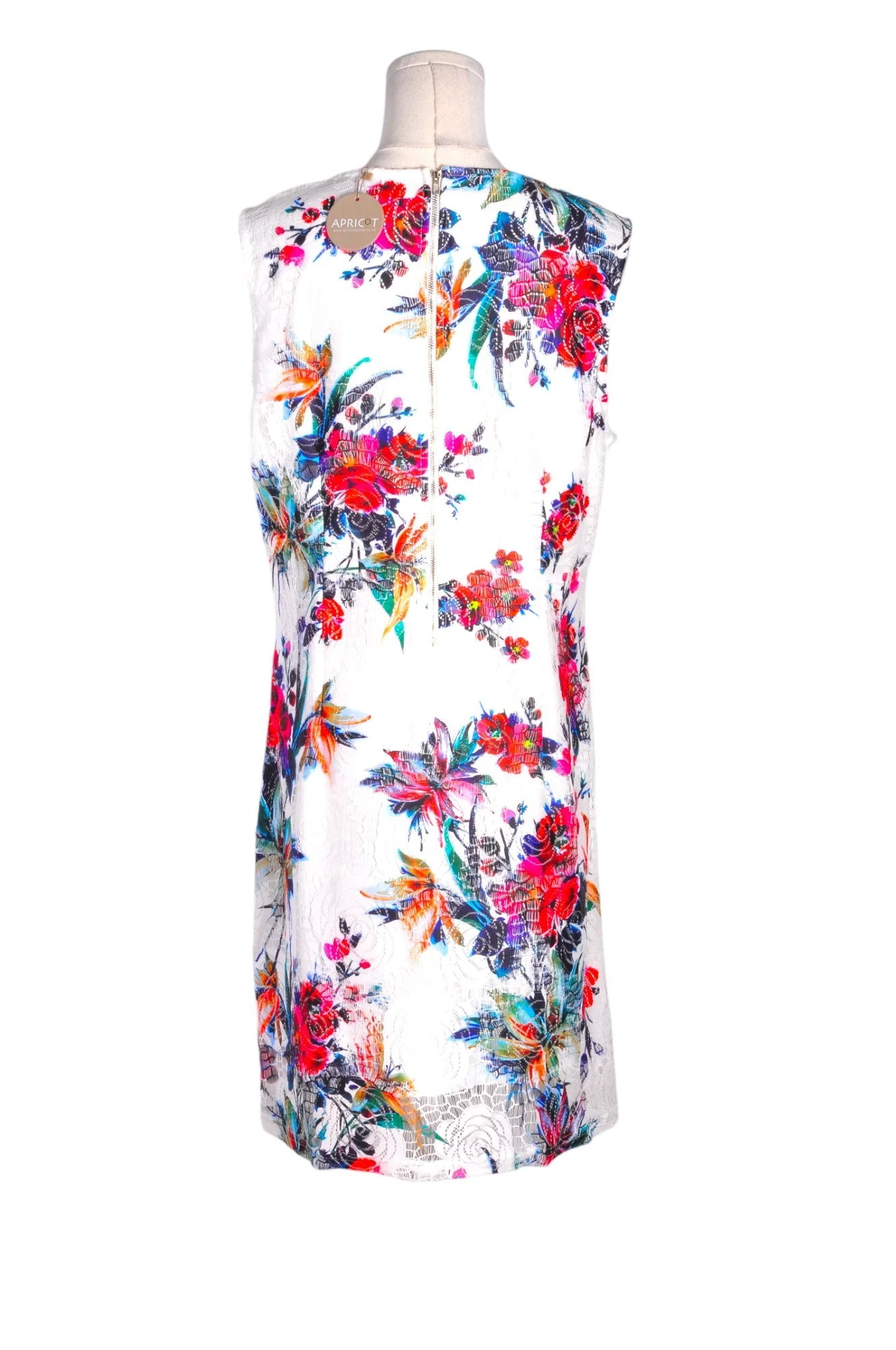 APRICOT Women A-Line Dresses Regular fit in White - XL - Image 2