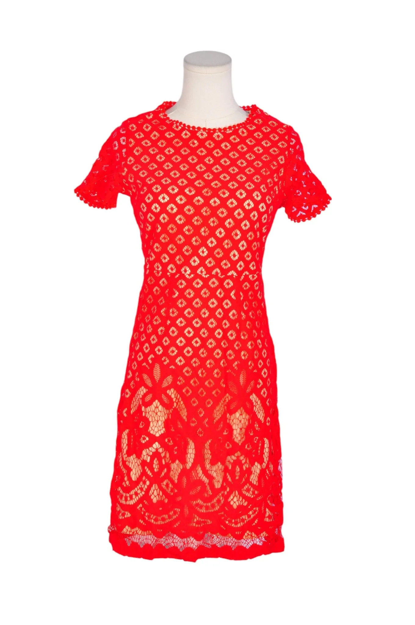 DEX Women Midi Dresses Regular fit in Red - S
