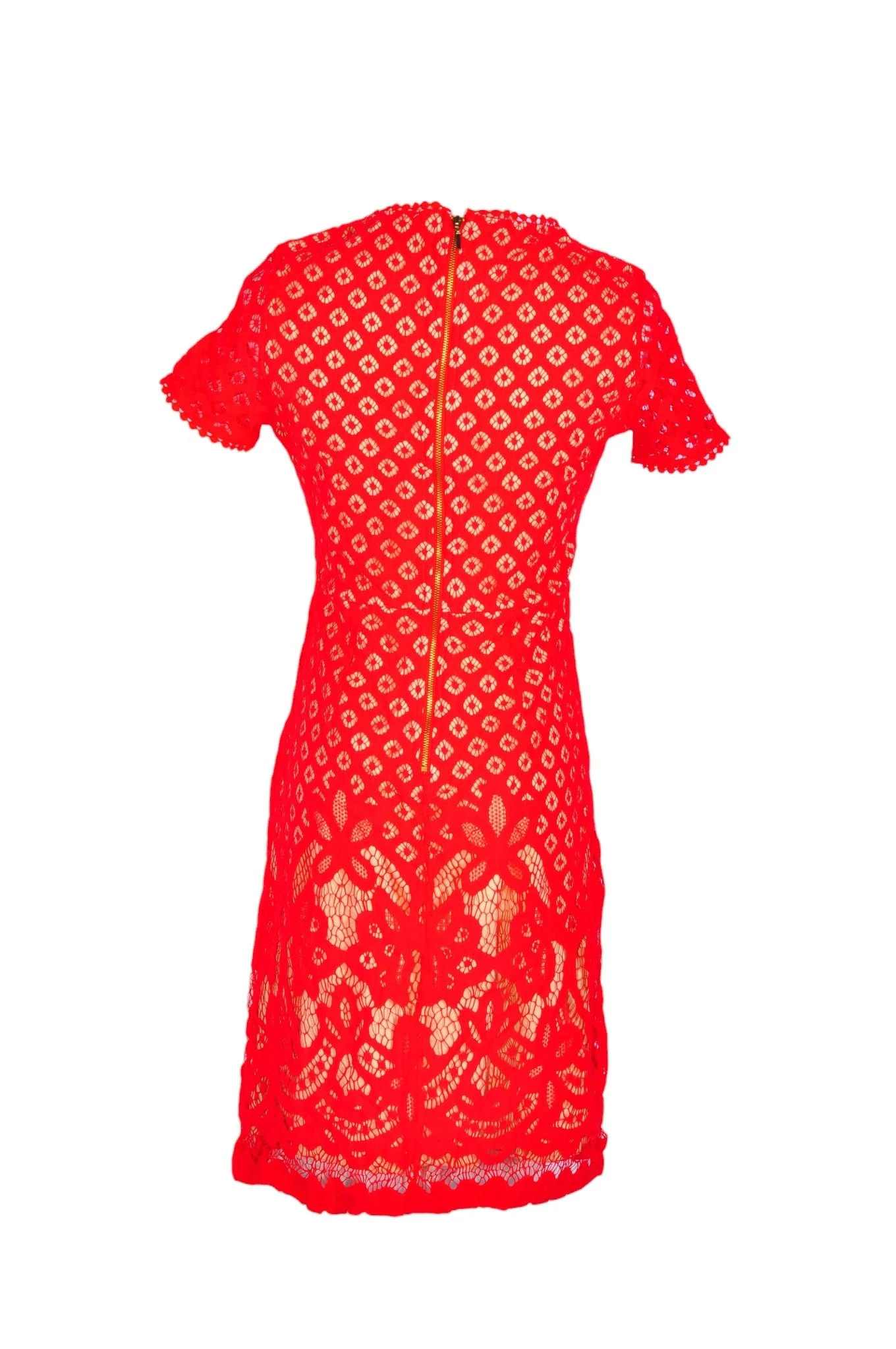DEX Women Midi Dresses Regular fit in Red - S - Image 2